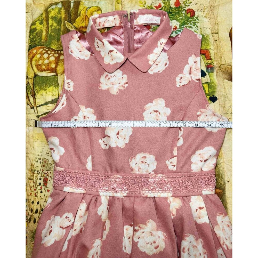 Liz Lisa Collared Floral Pink Dress Jfashion Gyaru Himekaji Coquette Autumn 2013 - Picture 10 of 16